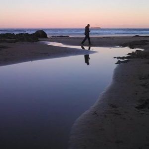 Meet your Posher, Holly